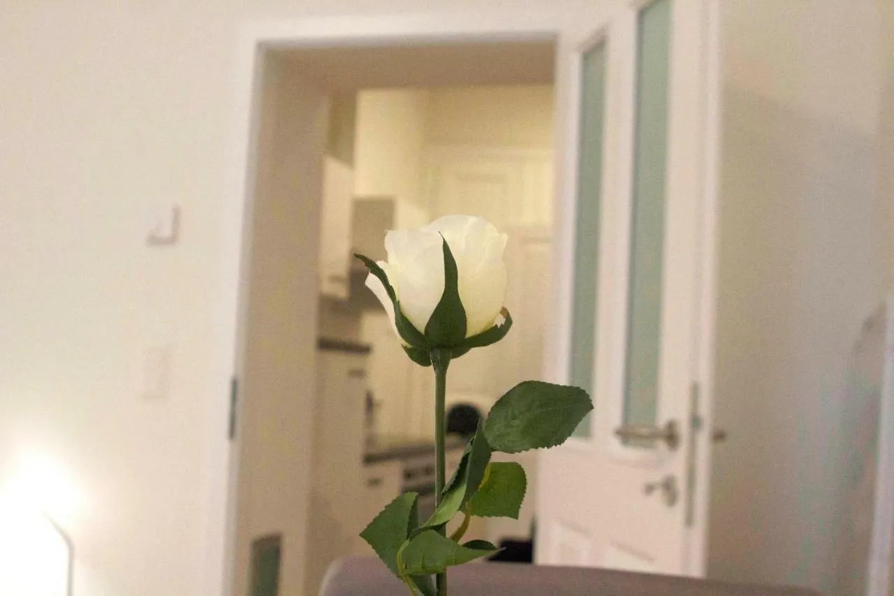 Lovely Studio Apartment Volkertmarkt Vienna